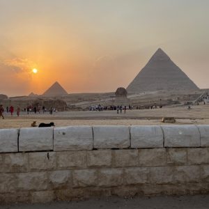 4227c9bb-4dff-4d69-9062-9d709f49bb4c