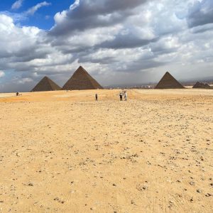 5129e348-fa9e-49c9-8c62-d99b8114fff5