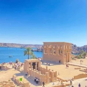 66d5c825-ea15-4d89-87a5-2a9448554f6d