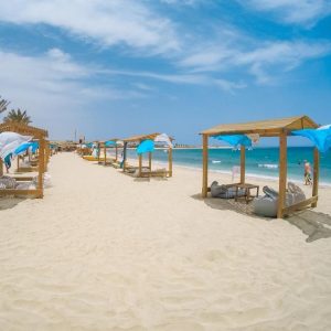 81d55587-9185-463e-a14a-55c1e23fdca6